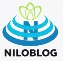               شروین تیرداد